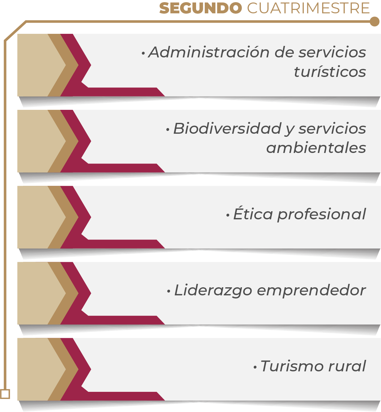 MAPA CURRICULAR SOFTWARE